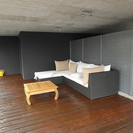 Loft - 別荘 Brione sopra Minusio